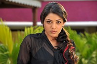 Kajal Latest Photo Gallery